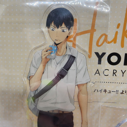 Haikyu Tobio Kageyama Yorimichi Full Body Acrylic Stand