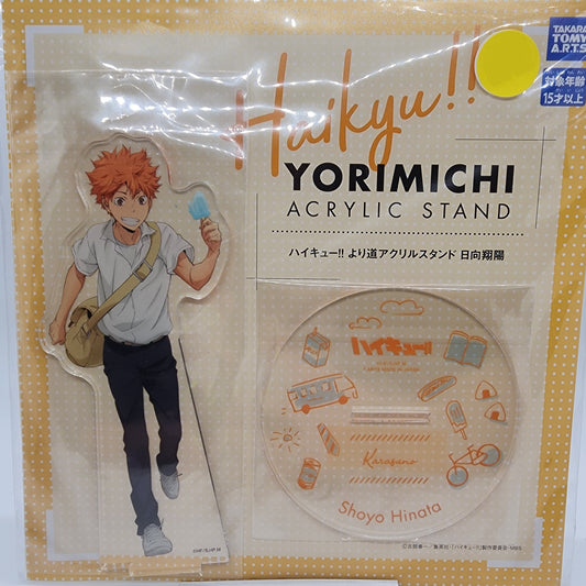 Haikyu Shoyo Hinata Yorimichi Full Body Acrylic Stand