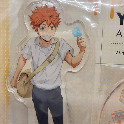 Haikyu Shoyo Hinata Yorimichi Full Body Acrylic Stand