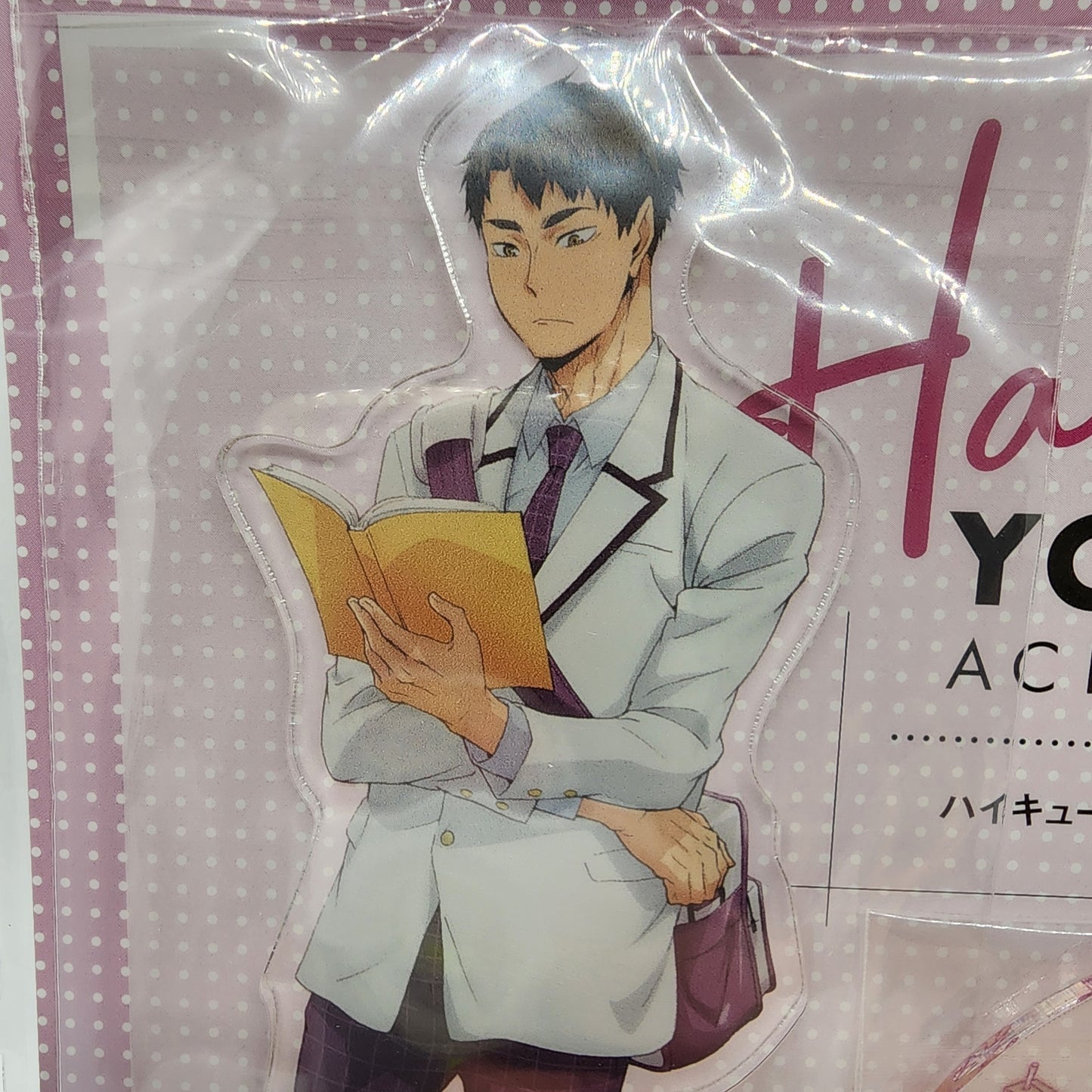 Haikyu Wakatoshi Ushijima Yorimichi Full Body Acrylic Stand