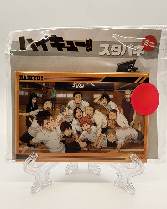 Haikyu Karasuno Pin