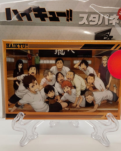 Haikyu Karasuno Pin