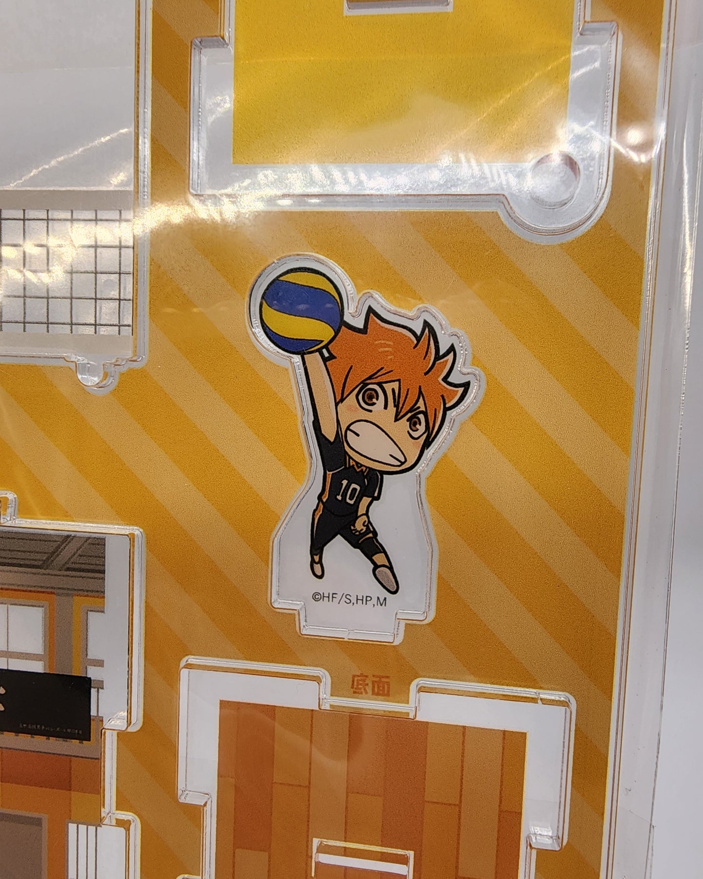 Haikyuu Shoyo Acrylic Stand Box