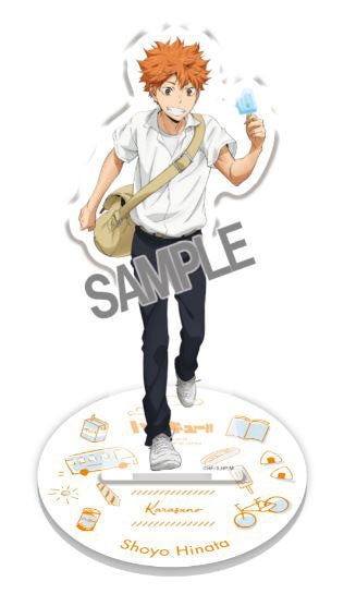 Haikyu Shoyo Hinata Yorimichi Full Body Acrylic Stand