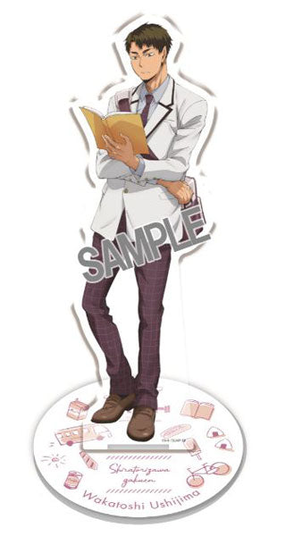 Haikyu Wakatoshi Ushijima Yorimichi Full Body Acrylic Stand